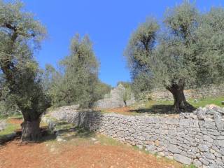 Pregio Immobiliare Ostuni