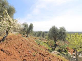 Pregio Immobiliare Ostuni