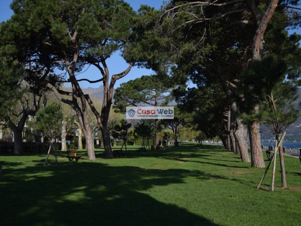 Parco Il Boschetto03