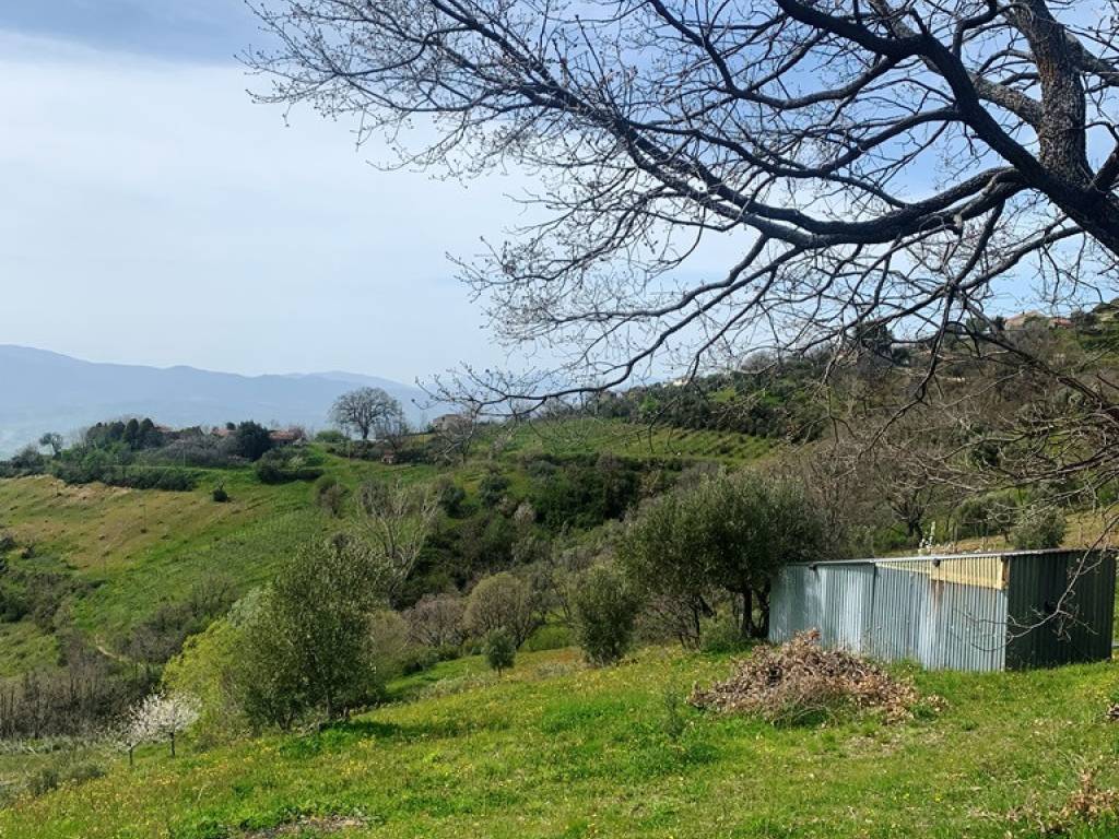 Terreno agricolo contrada scaramella, luzzi