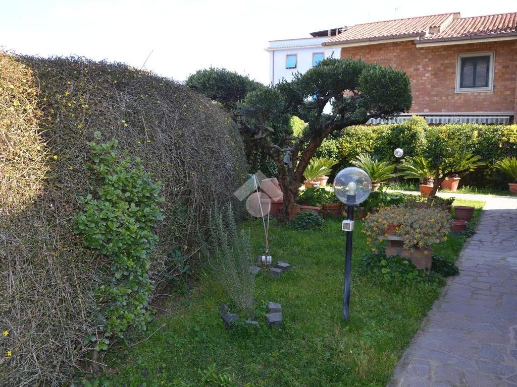 giardino (4)