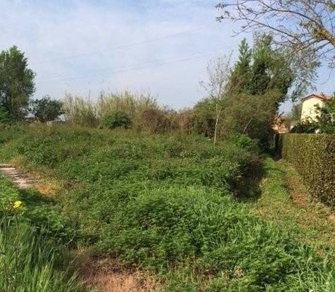 Terreno agricolo via ripoli,, badia - musigliano, cascina