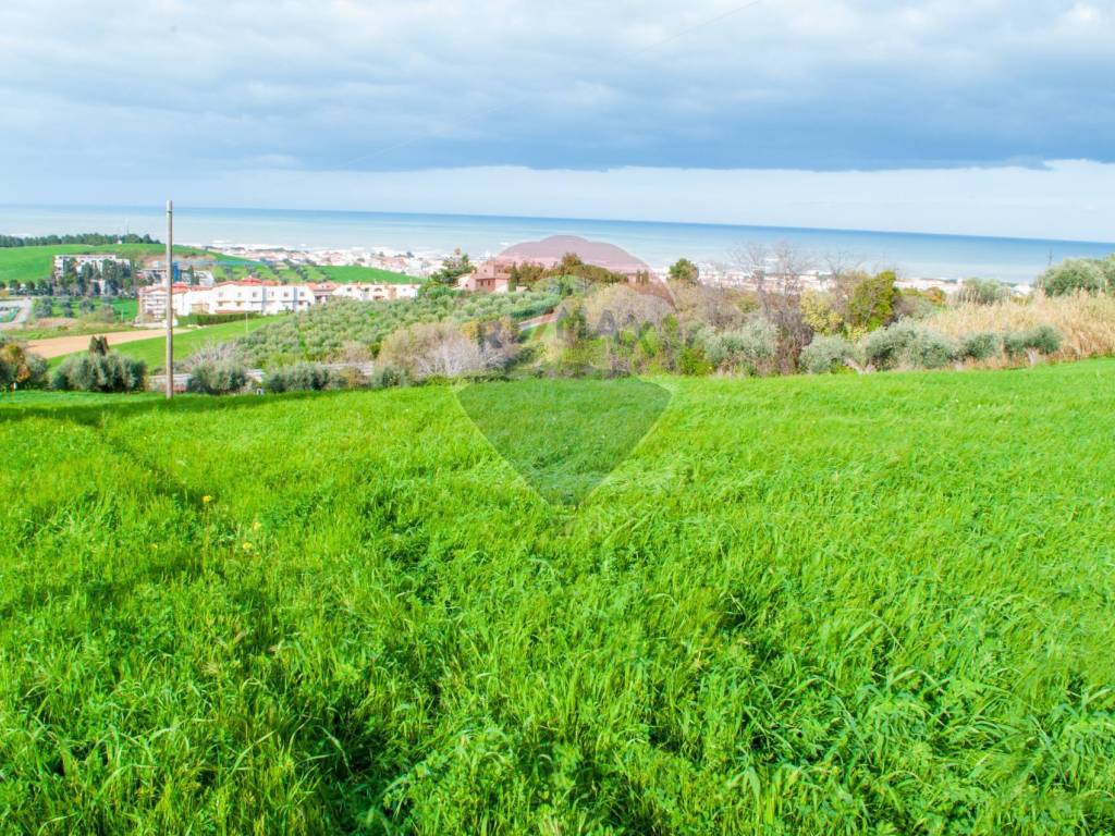 TERRENO AGRICOLO