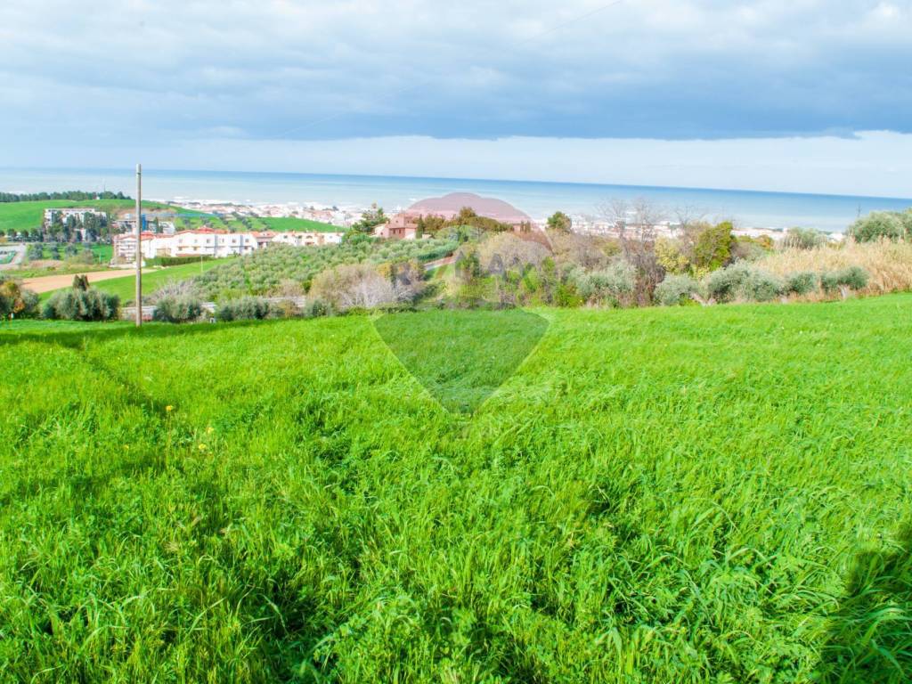 TERRENO AGRICOLO