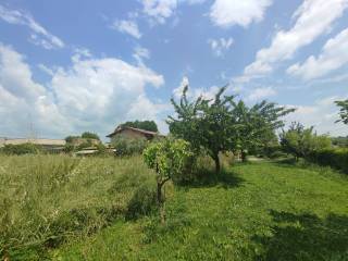 Parco esclusivo