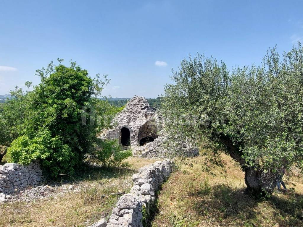 Trullo