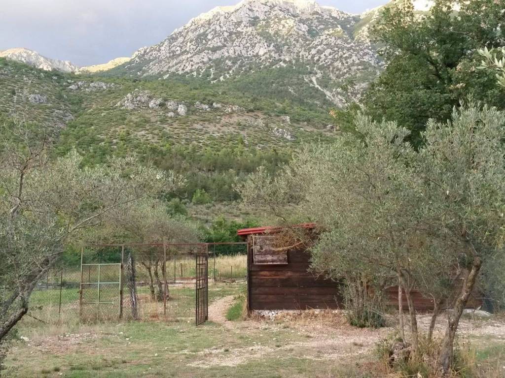 Terreno agricolo via provinciale per pacentro, sulmona