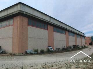 Complesso Industriale/commerciale - Via di Arezzo, lungo strada provinciale 327 - Foiano della Chiana (AR) - 3