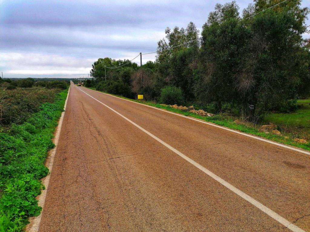 Terreno agricolo via strada chiusurella, porto cesareo