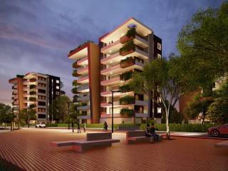 Zona