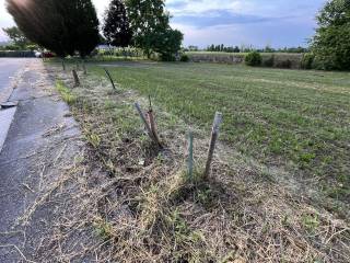 terreno edificabile veggiano 10