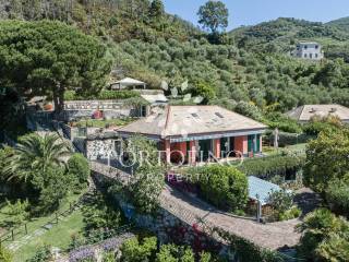 drone view of the villa