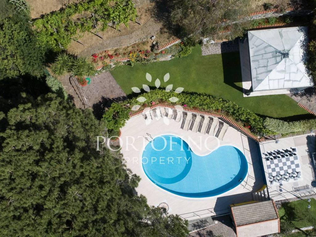 Swimming pool view from top