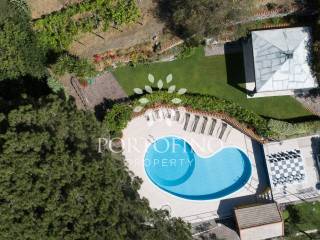 Swimming pool view from top