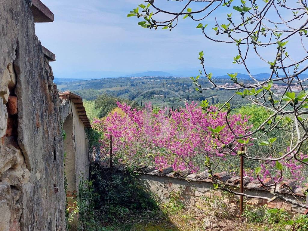 complesso colonico da ristrutturare, San Casciano