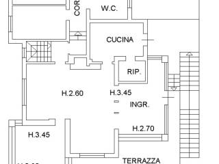 z1 vs131 p terra