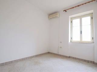 509038669.jpg