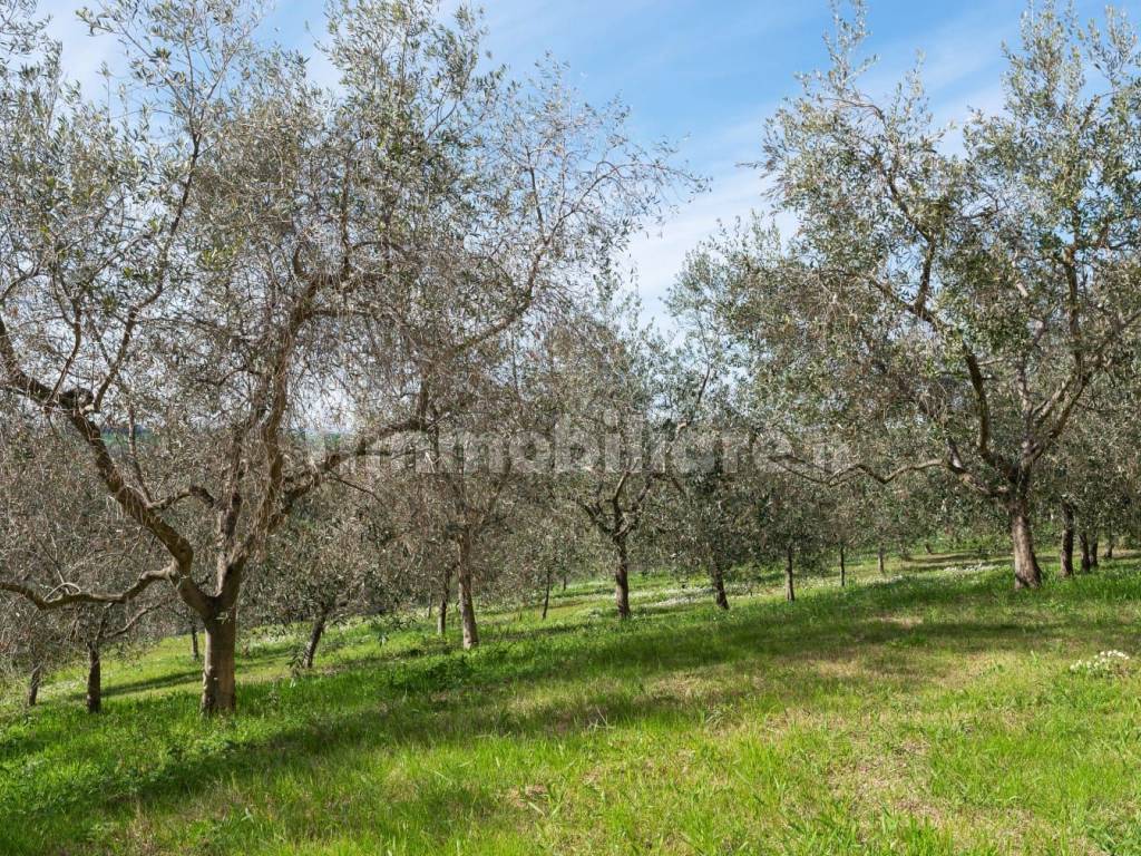 Vendita Casa colonica in via dell Agraria 19 Jesi. Ottimo stato