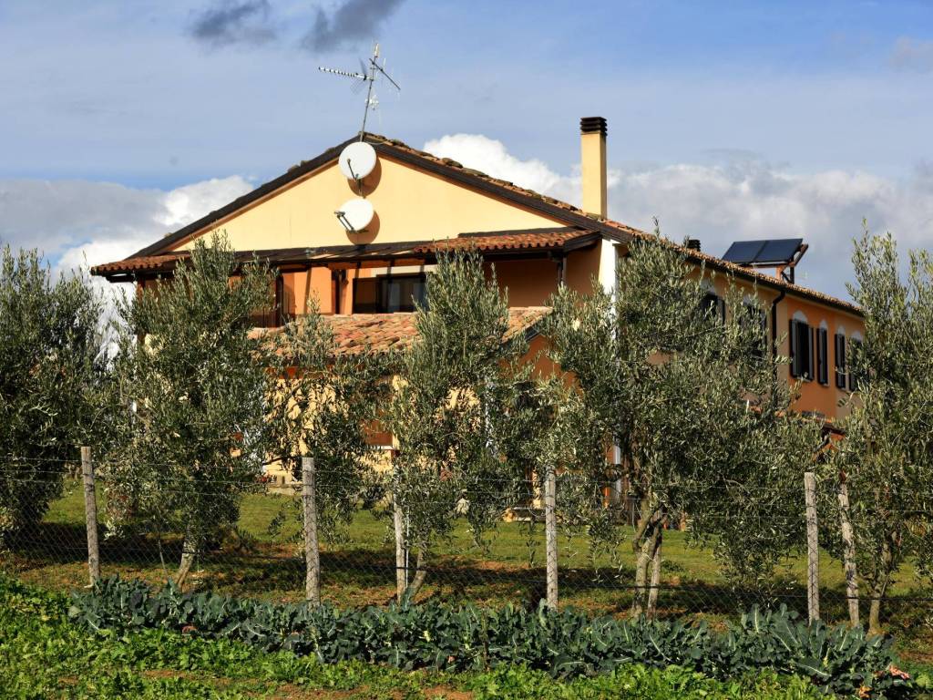 Terreno agricolo contrada sant'elia, calvello