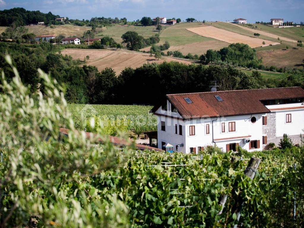 TENUTA