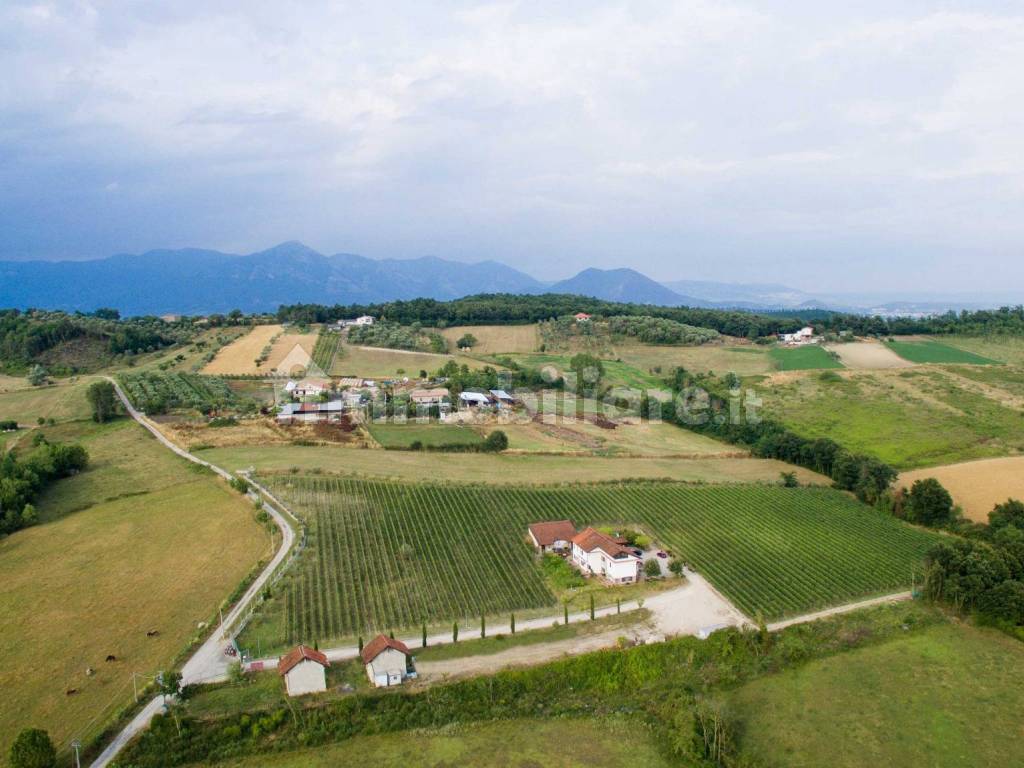 TENUTA