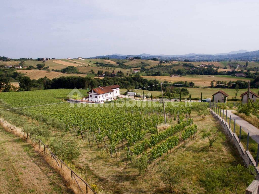 TENUTA