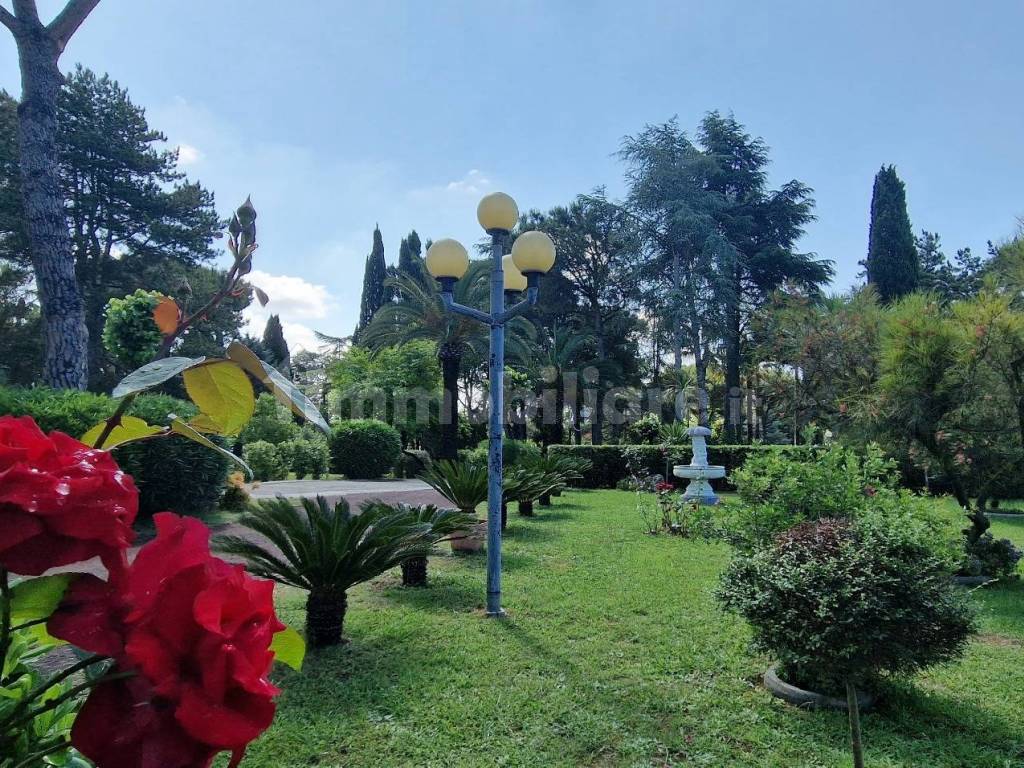 giardino