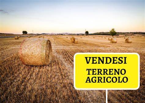 TERRENO AGRICOLO