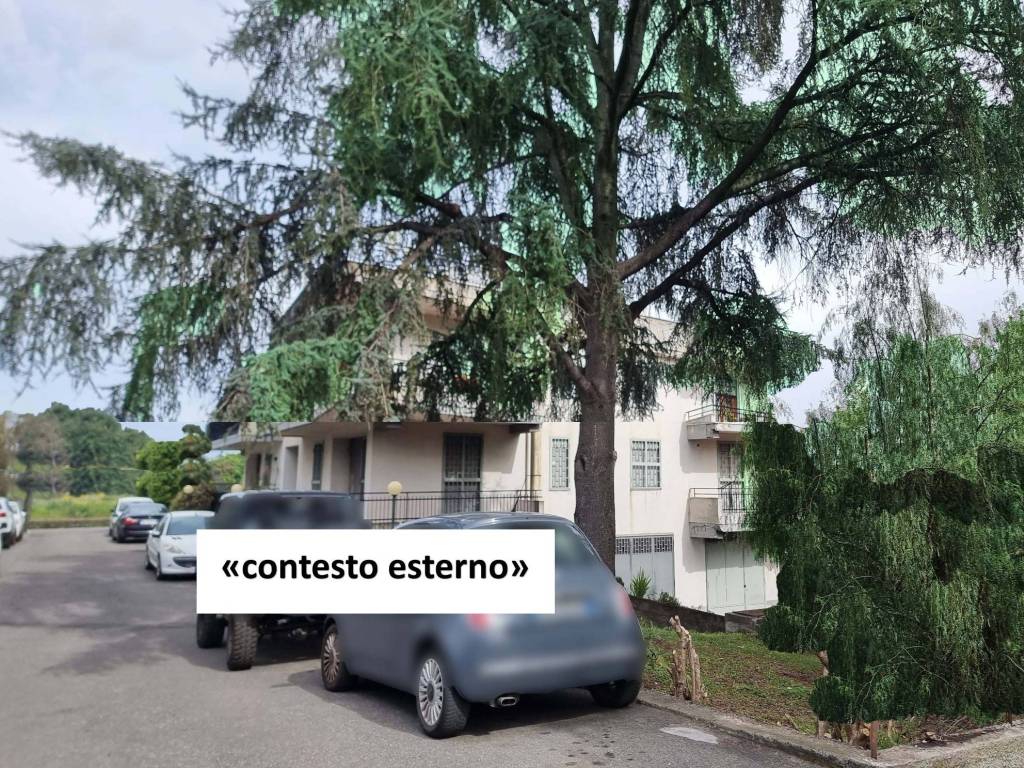 contesto esterno