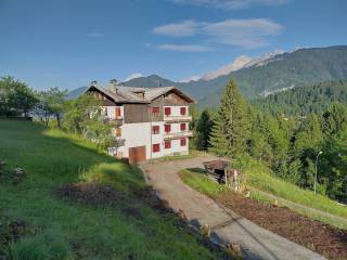 Foto - Vendita casa, giardino, Vigo di Cadore, Dolomiti Bellunesi