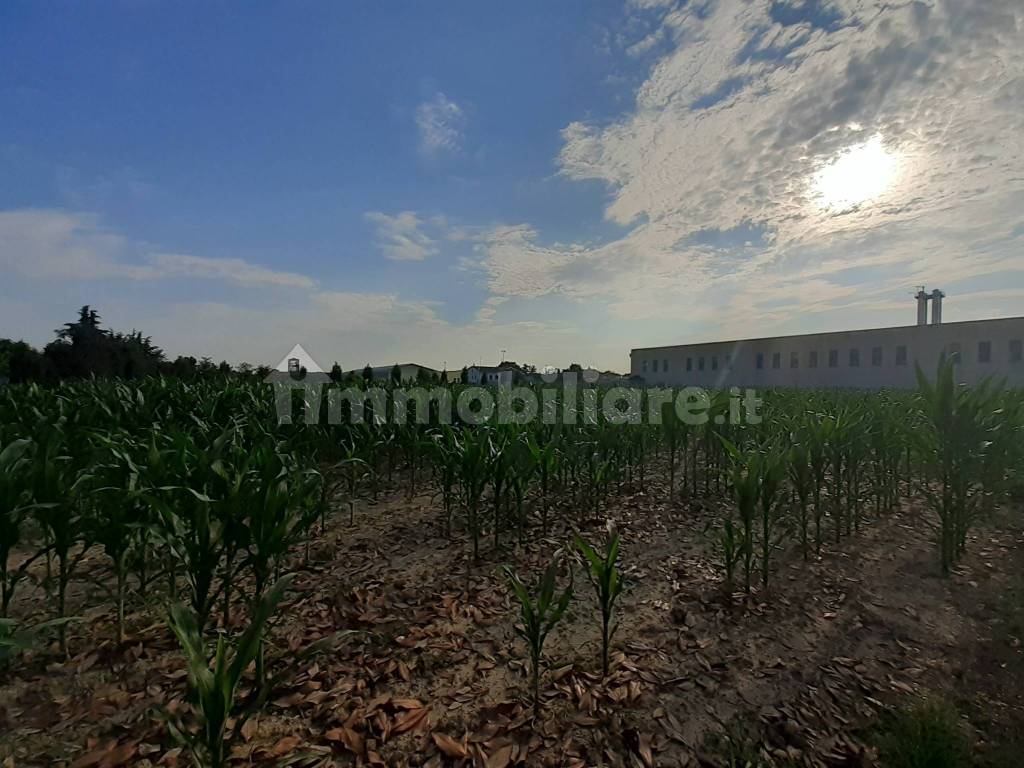 FOTOGRAFIA TERRENO