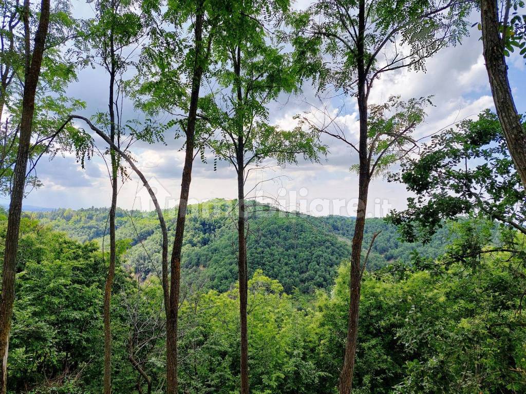 vista