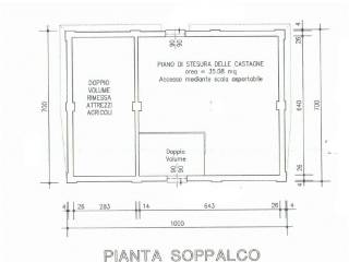 soppalco