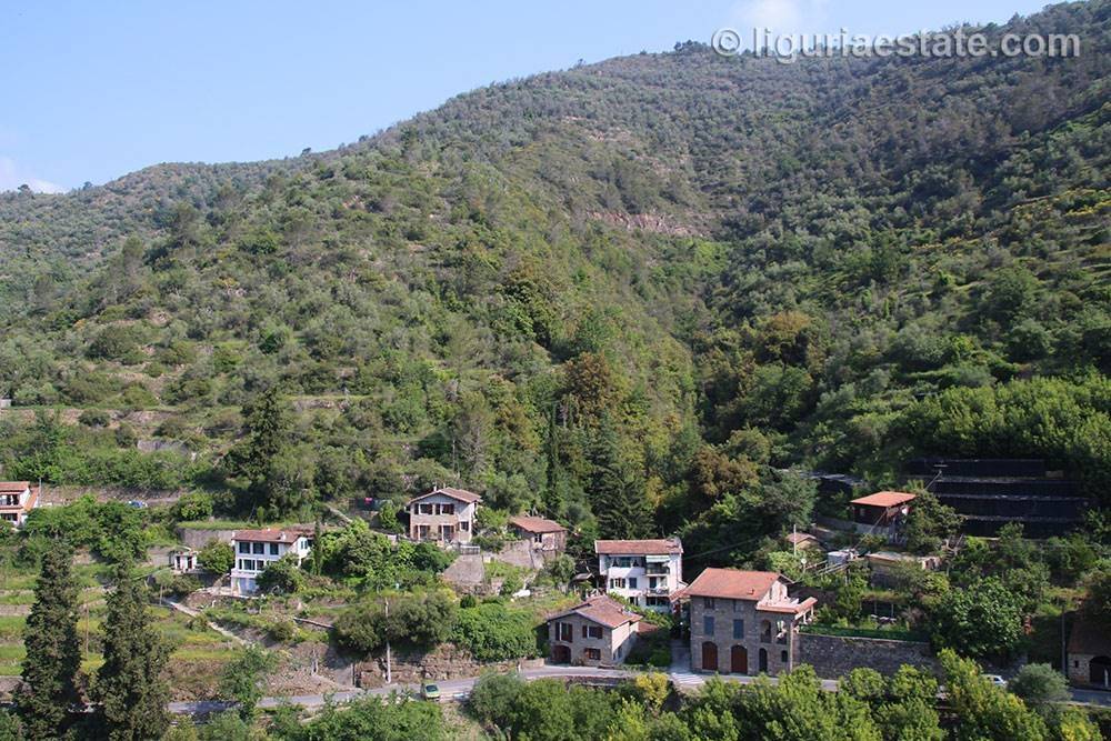 Apricale townhouse for sale 125 imp 44008 018