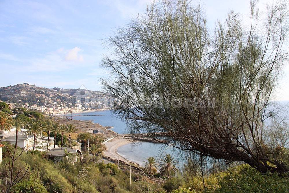 Bordighera liguria lot for sale 70 imp 44089 113