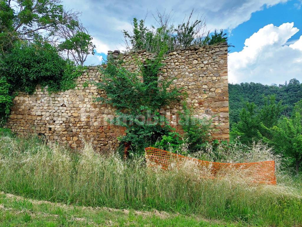 rudere