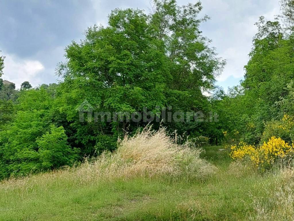 parco