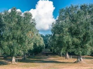 Campagna Salentina