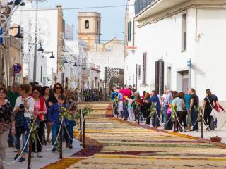 Festa nel Salento