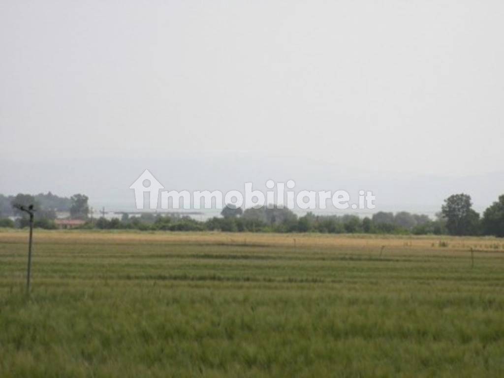 vista lago Trasimeno