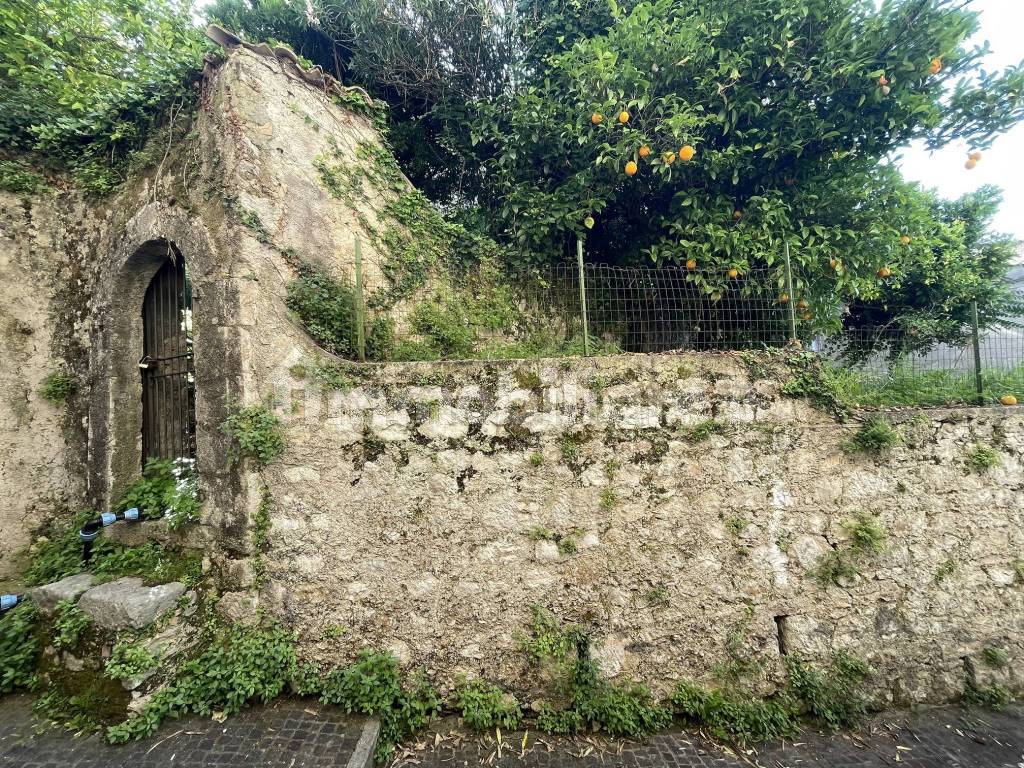 giardino fronte