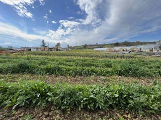 Terreno agricolo