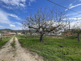 Terreno agricolo