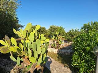 Trullo Venere di Ostuni