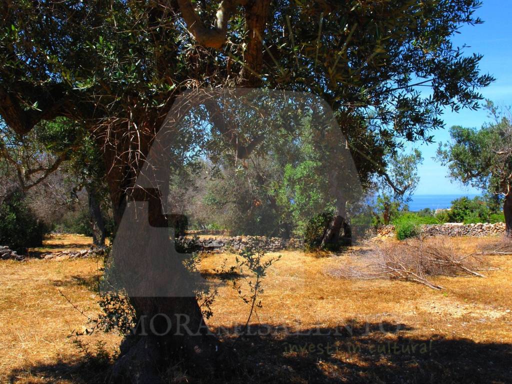 Terreno non edificabile strada vicinale semaforo, castrignano del capo