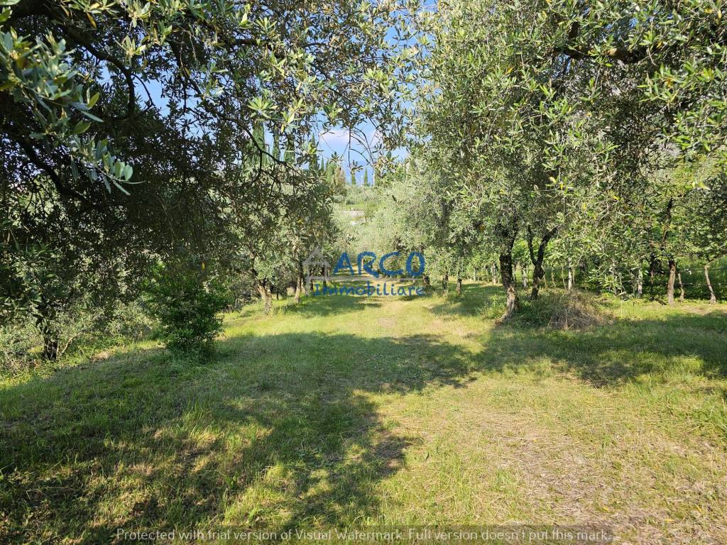 Terreno agricolo località laghel, arco