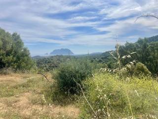 Terreno e vista