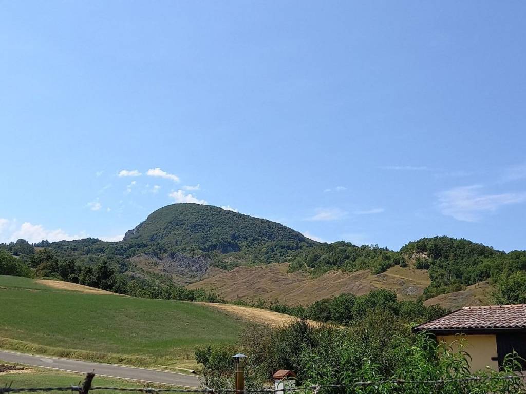 Terreno agricolo villa 15, carpineti