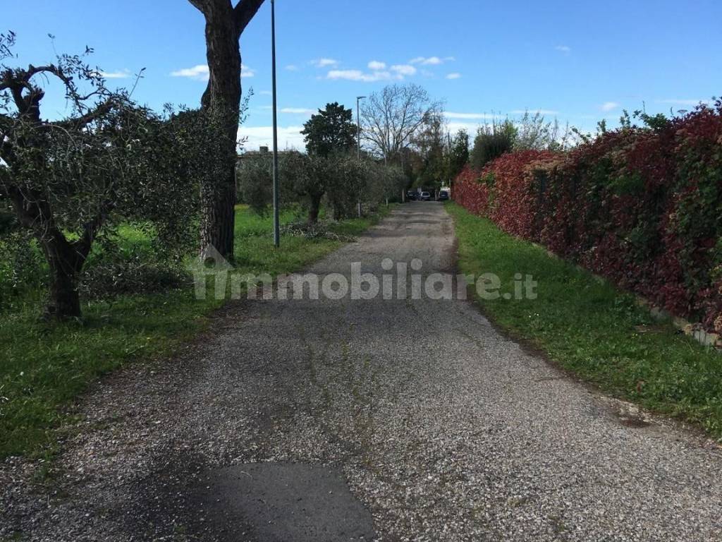 strada di confine terreno