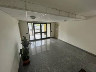 INGRESSO